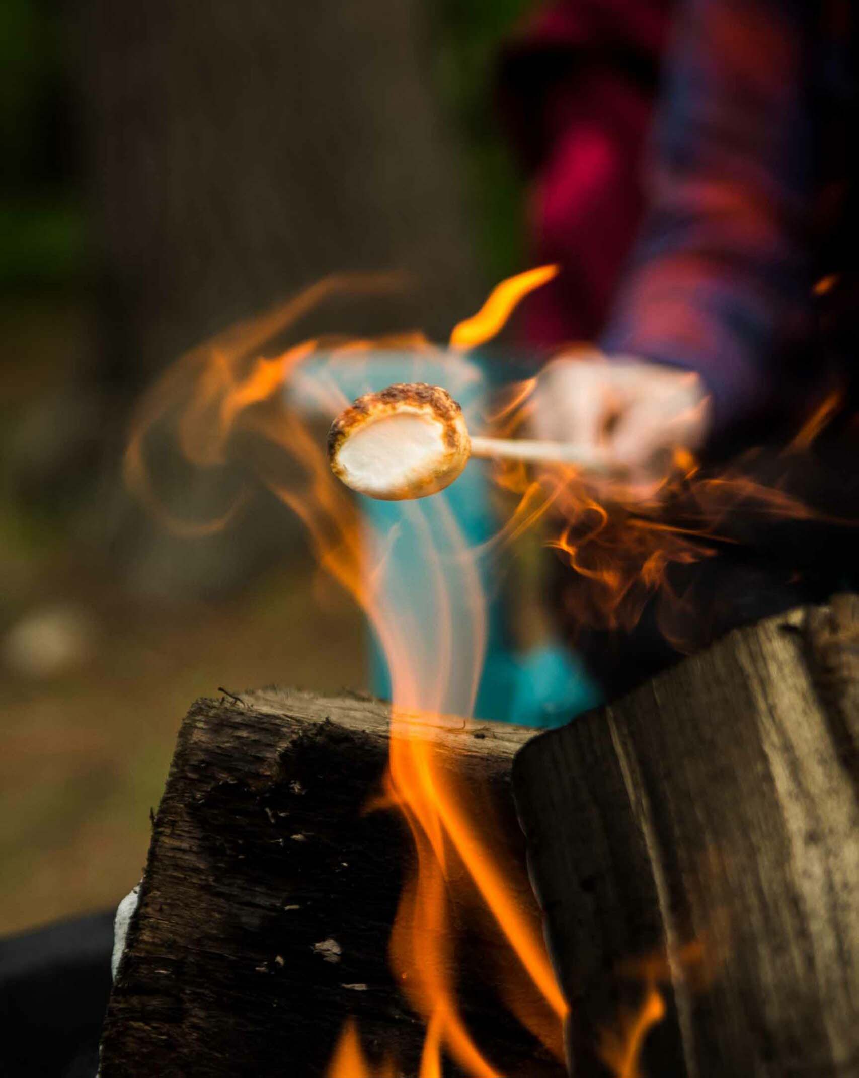 campfire