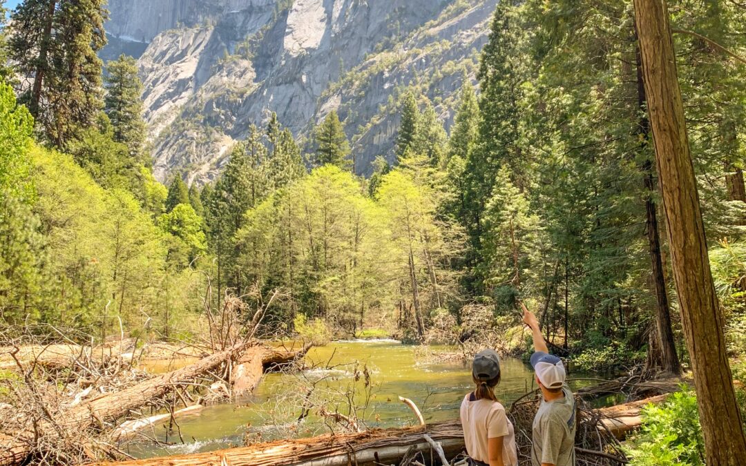 7 Do’s & Don’ts for Your First Yosemite Trip