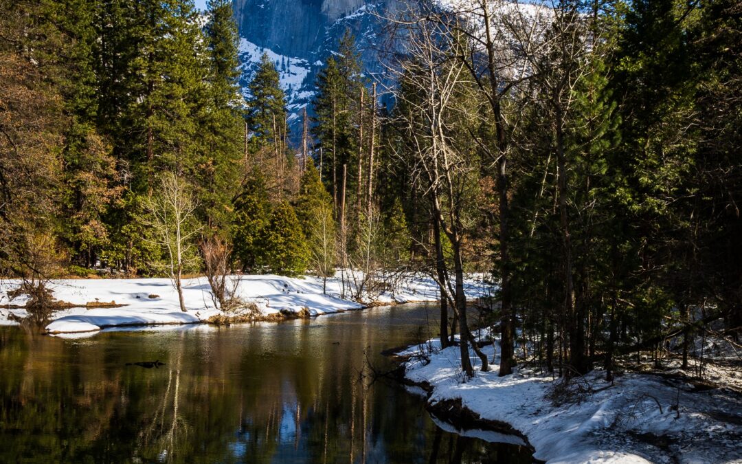 A Guide to Yosemite Valley’s Winter Activities 
