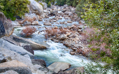 The History of the Wild and Scenic Merced River