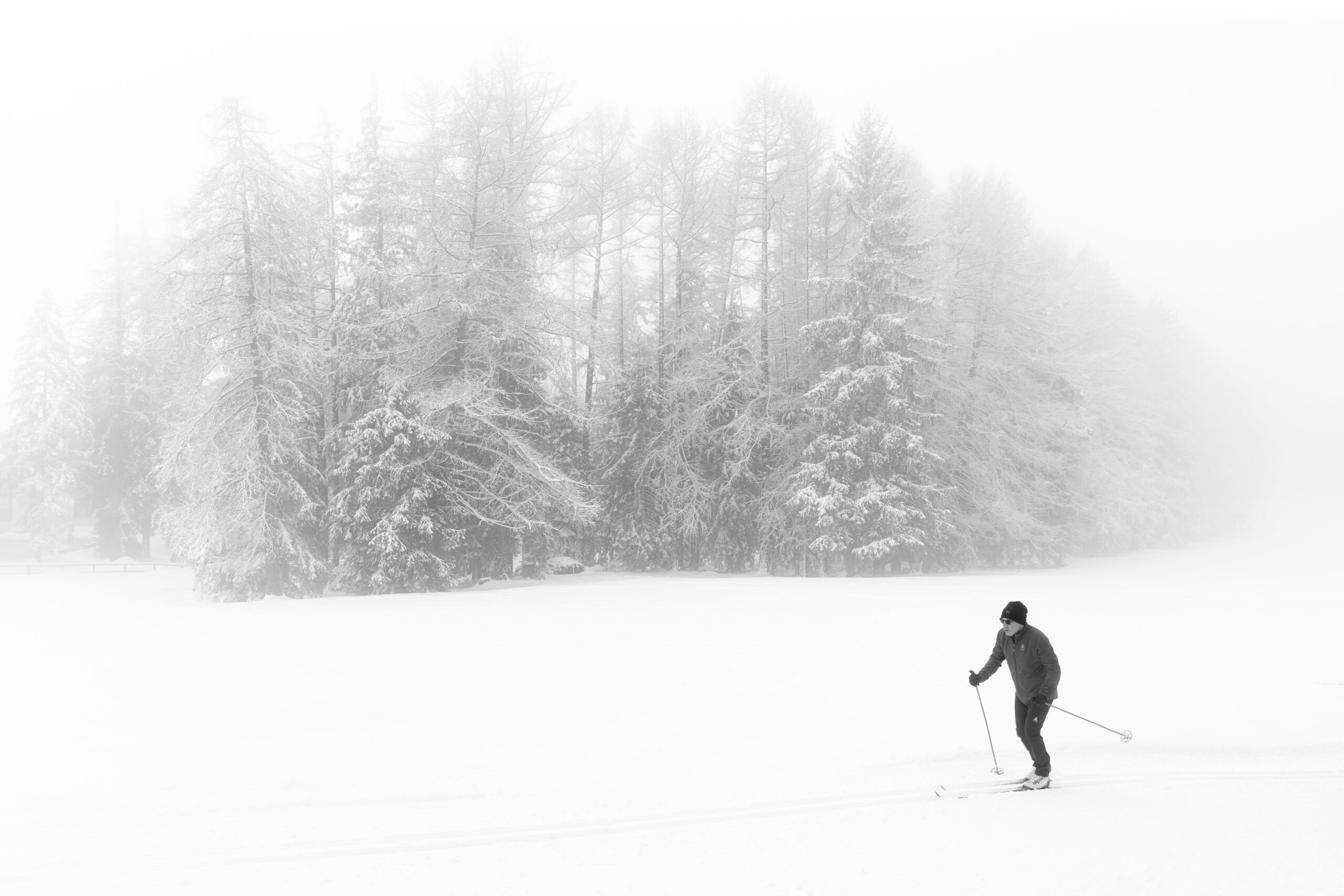 Winter activities in yosemite near yosemite resorts Cross Country Skiing