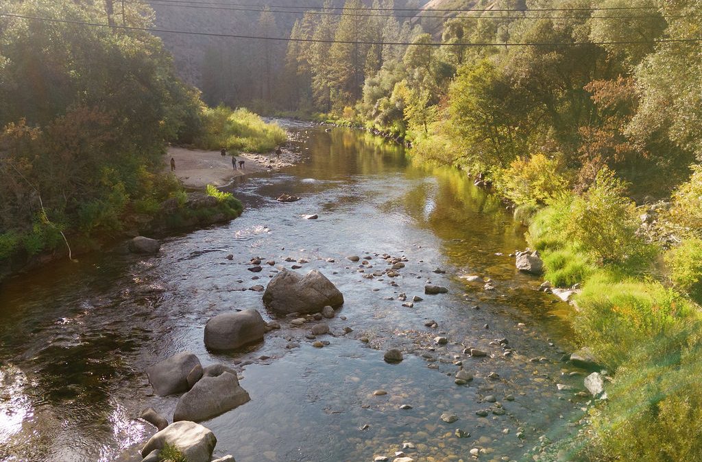Yosemite, Unplugged: The Summer Digital Detox