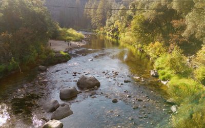 Yosemite, Unplugged: The Summer Digital Detox