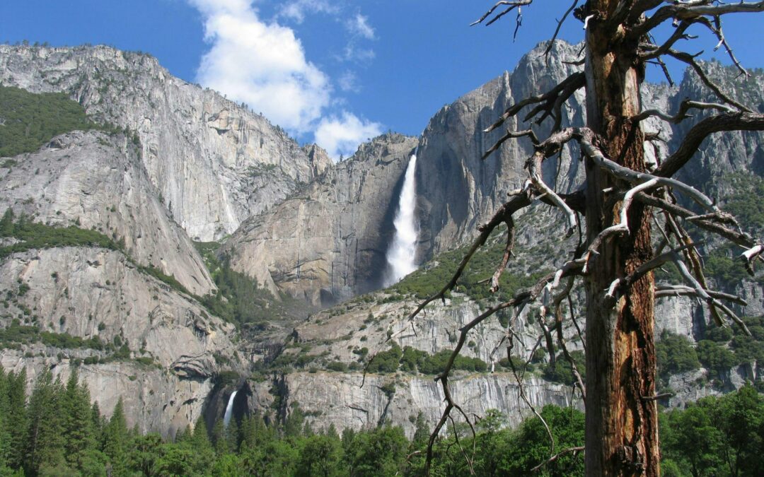 The Perfect Yosemite Itinerary for First Time Visitors (2 Days)