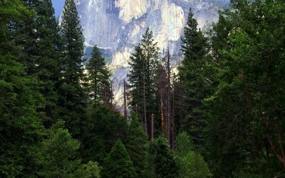 Tips for Getting a 2024 Yosemite National Park Reservation