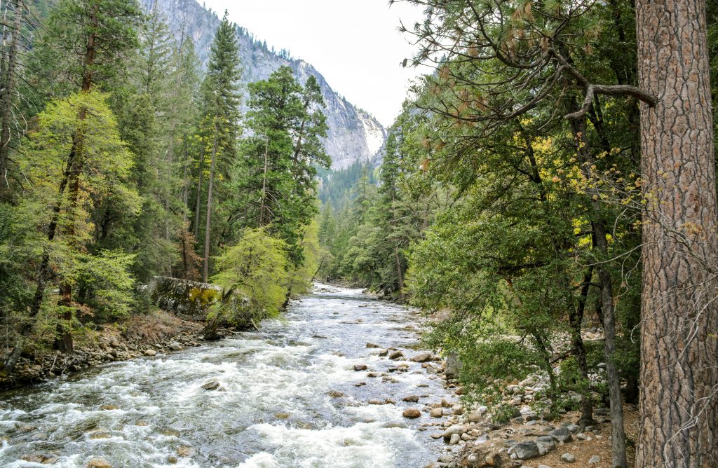 Merced River in Yosemite