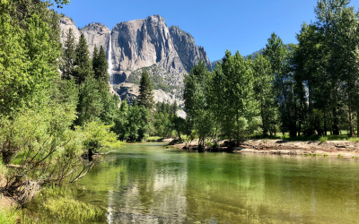 Yosemite for Art Lovers: Exploring the Park Through Art and Photography