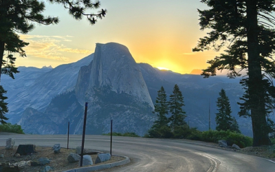 5 Scenic Drives That Start at El Portal