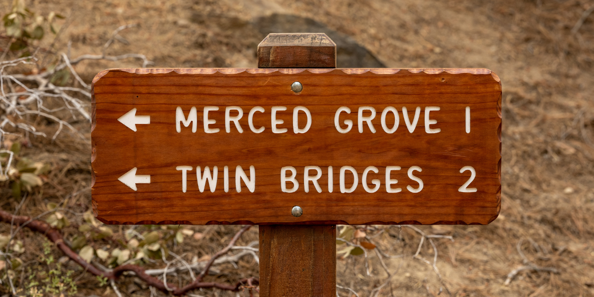 merced grove Hidden Gem Yosemite