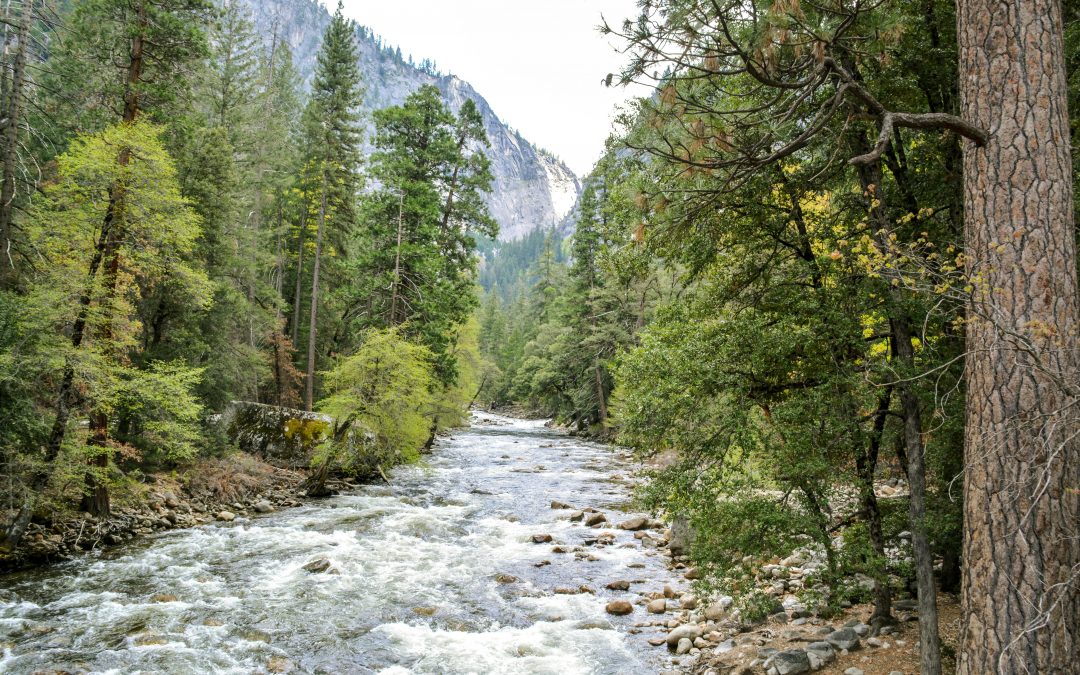 What to Bring on a Trip to Yosemite National Park