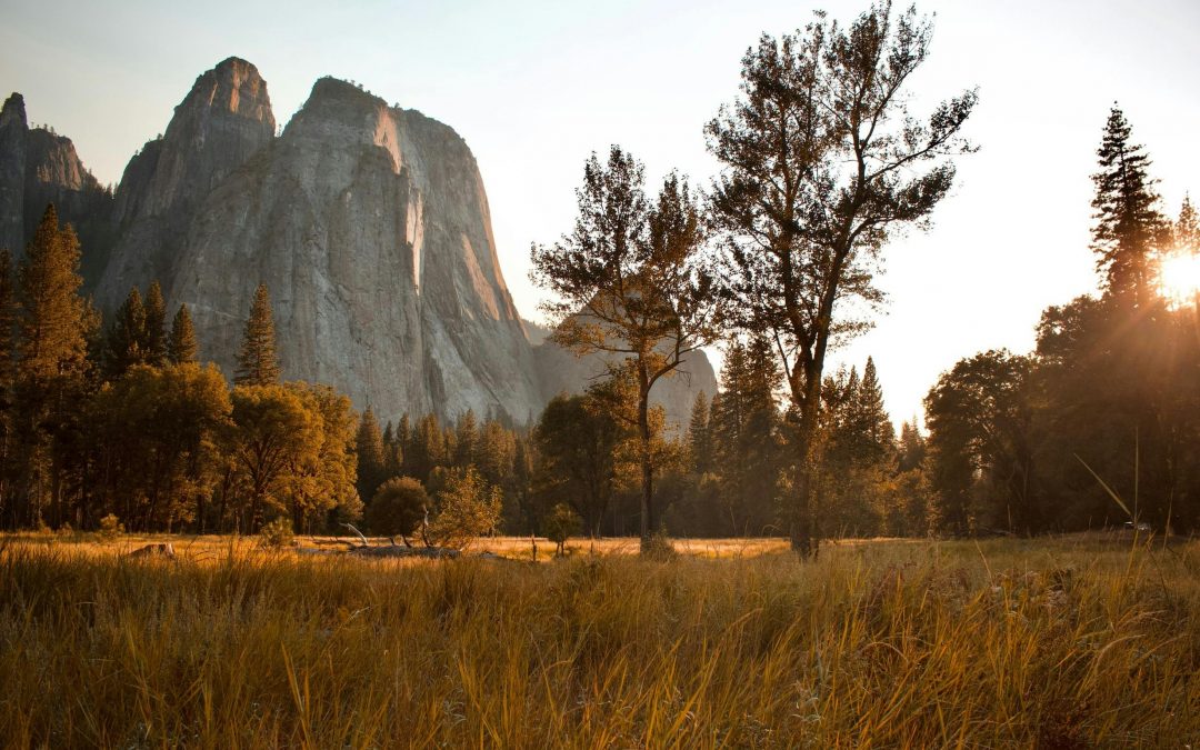 Yosemite & Surrounding Area Fall Festivals and Events