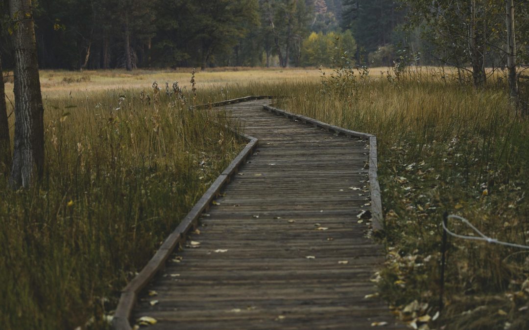 5 Hiking Trails In Yosemite You Have to Experience This Fall