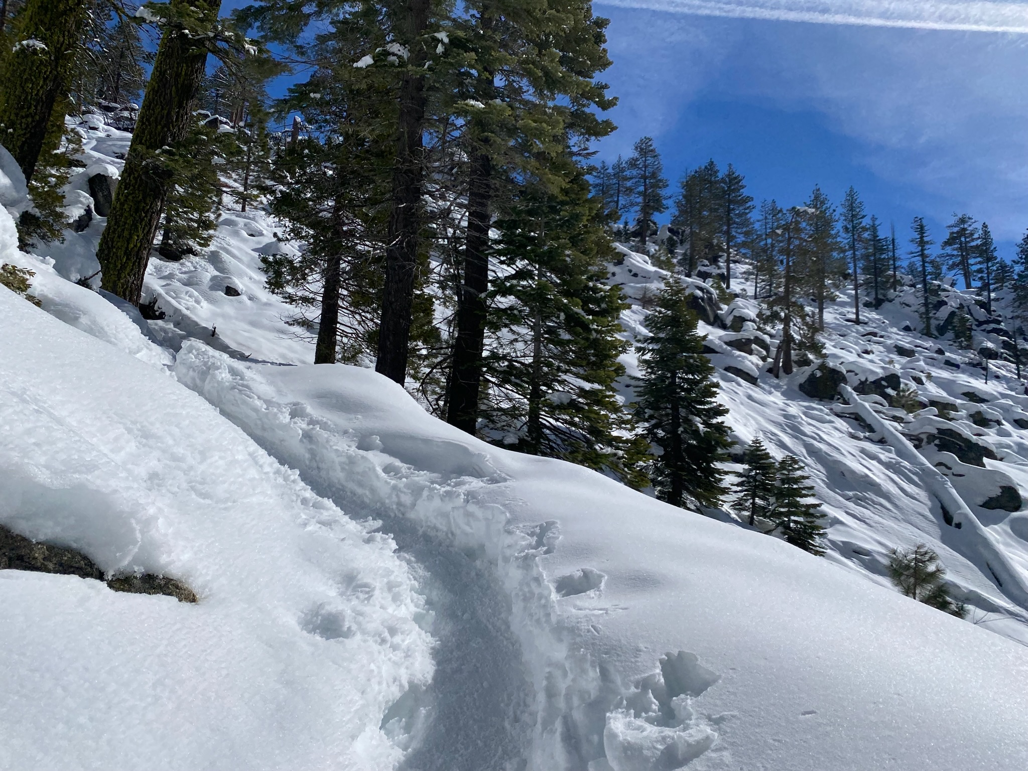 Yosemite View Lodge shares photo of snow shoeing in Winter