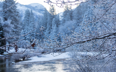 7 Winter Travel Tips: How to Stay Safe While Visiting Yosemite