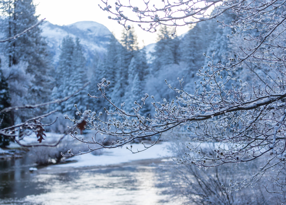 7 Winter Travel Tips: How to Stay Safe While Visiting Yosemite