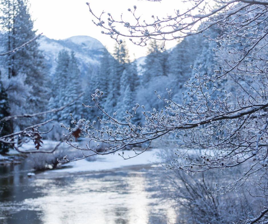 Winter in Yosemite National Park 