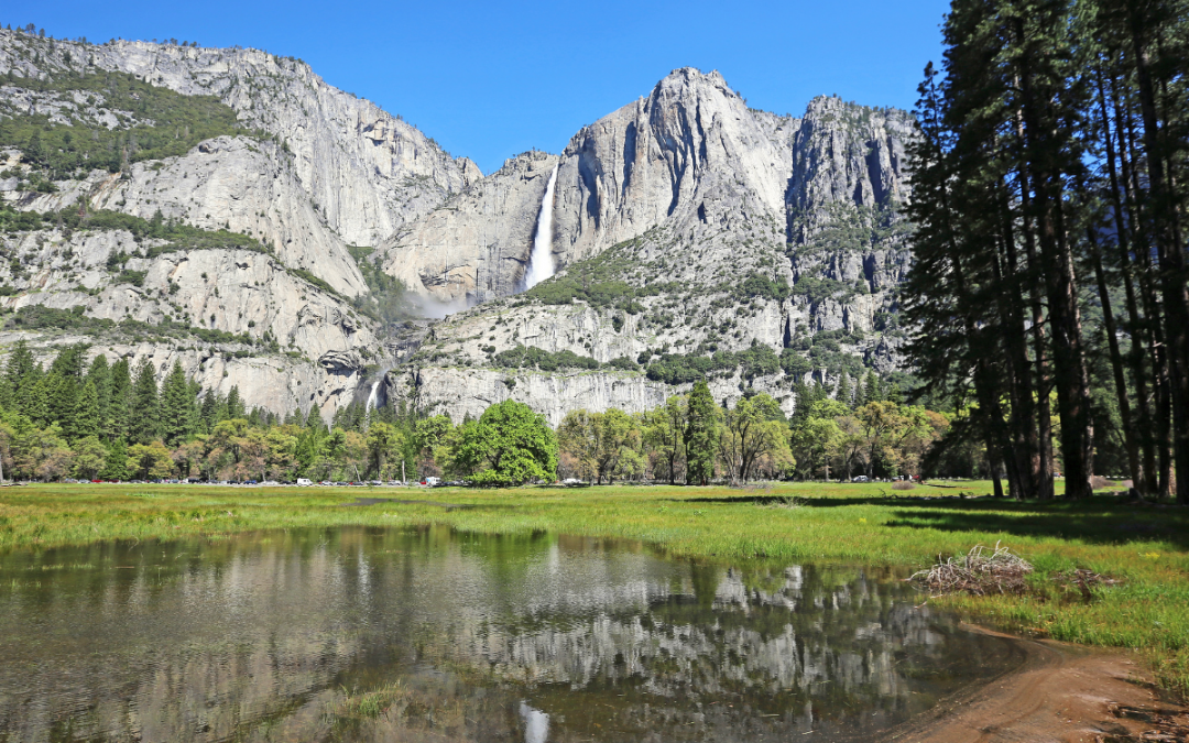 Yosemite in August: The Secret Sweet Spot of Summer