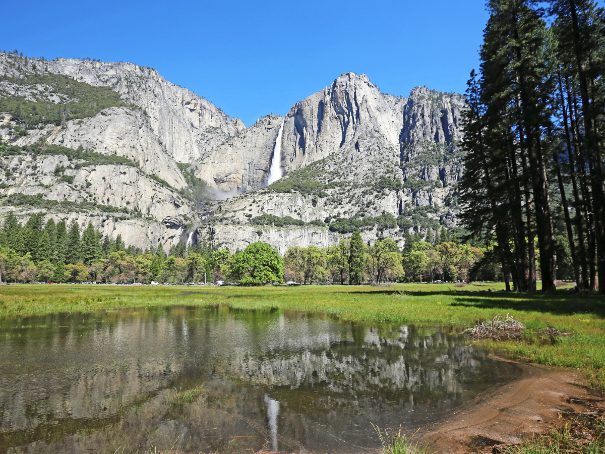 Cooks Meadow Loop