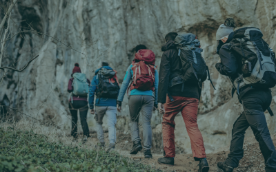 Consider These Guided Tours of Yosemite National Park