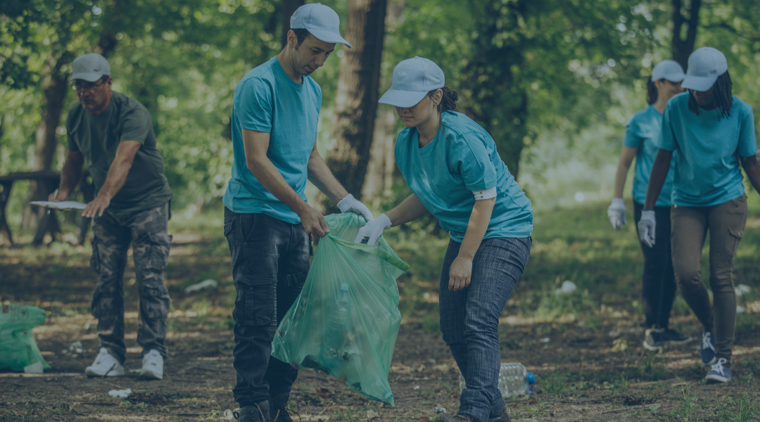 How to Volunteer In Yosemite National Park