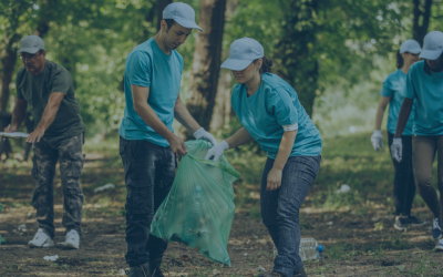 How to Volunteer In Yosemite National Park