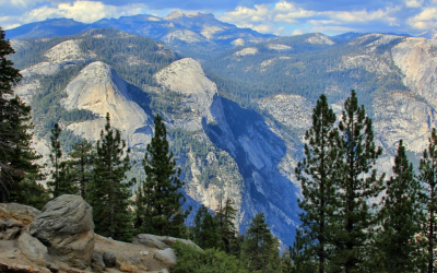 7 Essential Tips for Exploring the Yosemite Wilderness