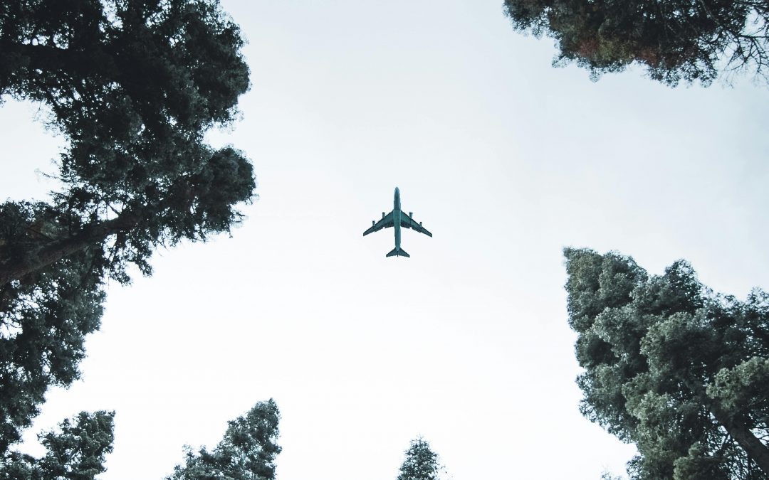 7 Tips for International Travelers Headed to Yosemite