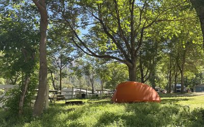 Camping 101: How to Prepare for Your Yosemite Camping Trip