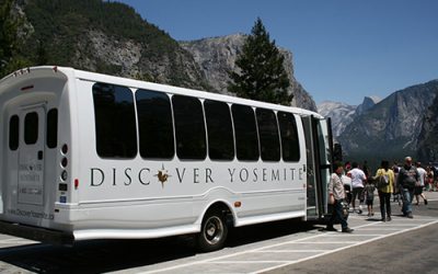 First Time in Yosemite National Park: Your Essential Guide
