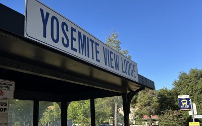 The Best Yosemite Hotels with Shuttle Access