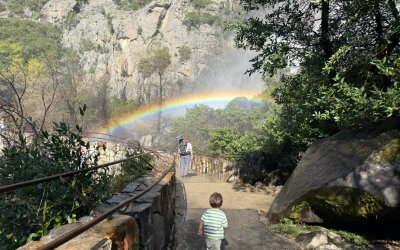 Yosemite Tips for First Timers: What Visitors Wish They Knew Before Their First Trip