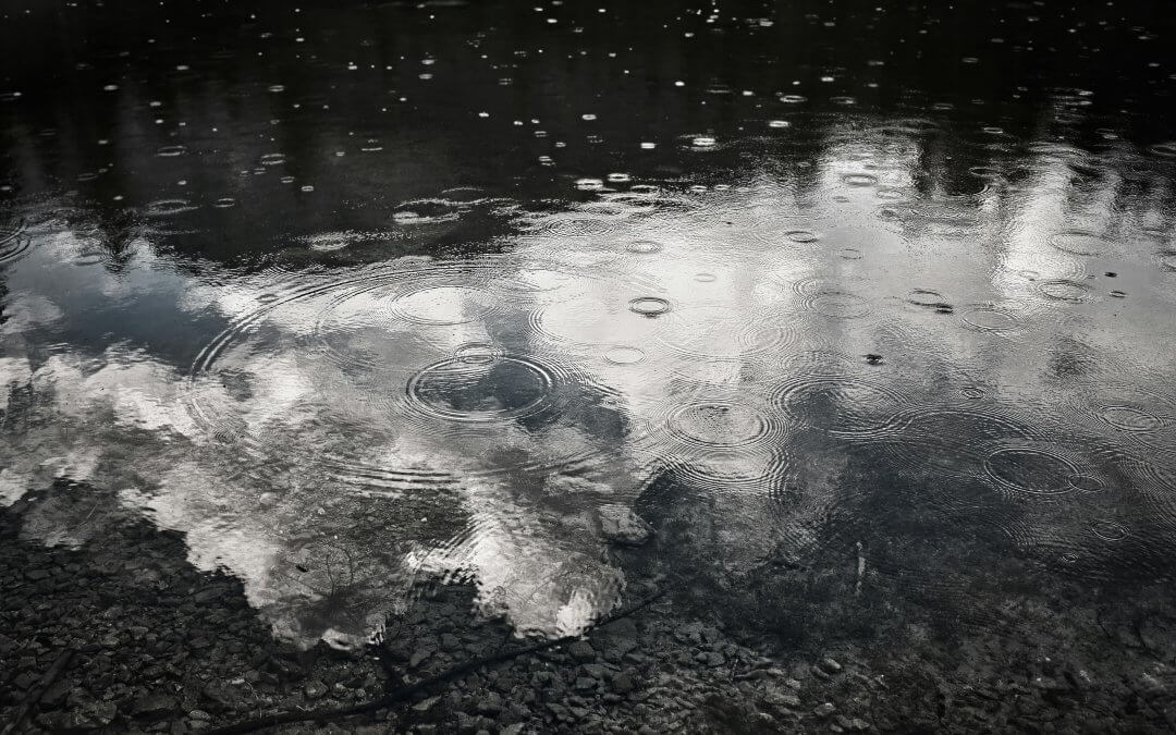 How to Make the Most of a Rainy Day in Yosemite: A Practical Visitor Guide