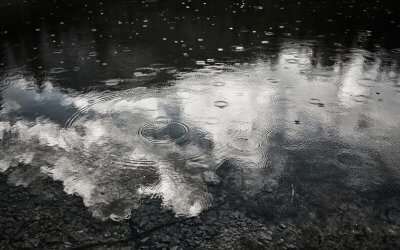 How to Make the Most of a Rainy Day in Yosemite: A Practical Visitor Guide