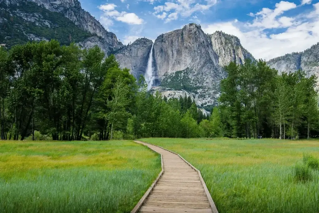 image of Yosemite national park waterfall and meadow