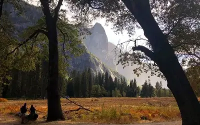 Yosemite in the Fall: Weather, Fall Colors, Crowds & What to Expect